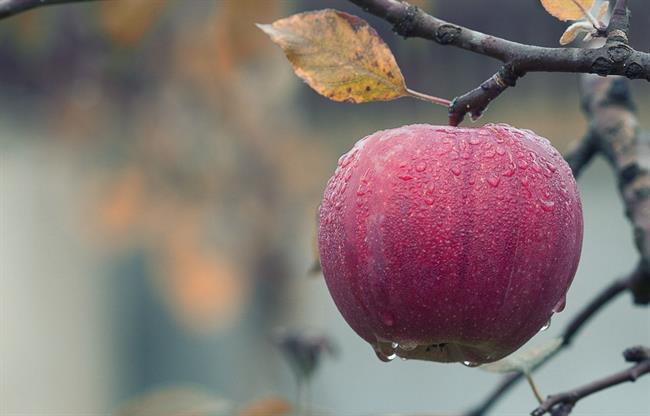 Danes bo na vzhodu sončno, na zahodu se bodo pojavljale plohe. (foto: pexels.com)