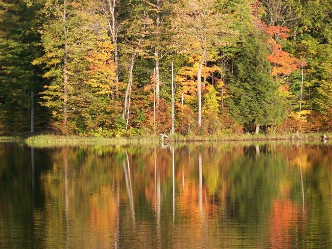 Lepa misel za lepši dan. (foto: freeimages.com)