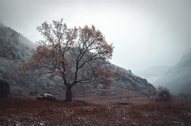 Danes in jutri bo pretežno jasno. (foto: pexels.com)