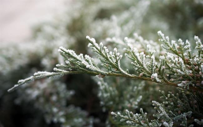 Danes in jutri bo pretežno jasno, po nižinah pa se megla ali nizka oblačnost ponekod lahko zadrži večji del dneva. (foto: pexels.com)