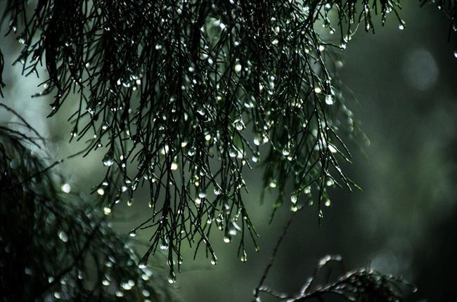 Foto: pexels.com