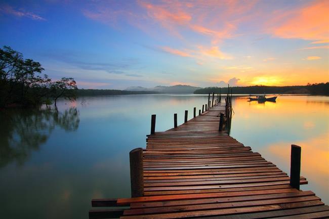Foto: pexels.com