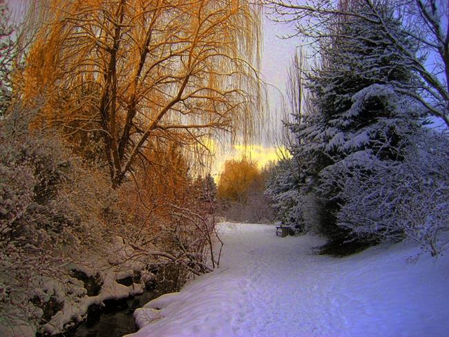 Lepa misel za lepši dan. (foto: pexels,.com)