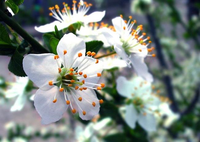 Lepa misel za lepši dan. (foto: freeimages.com)