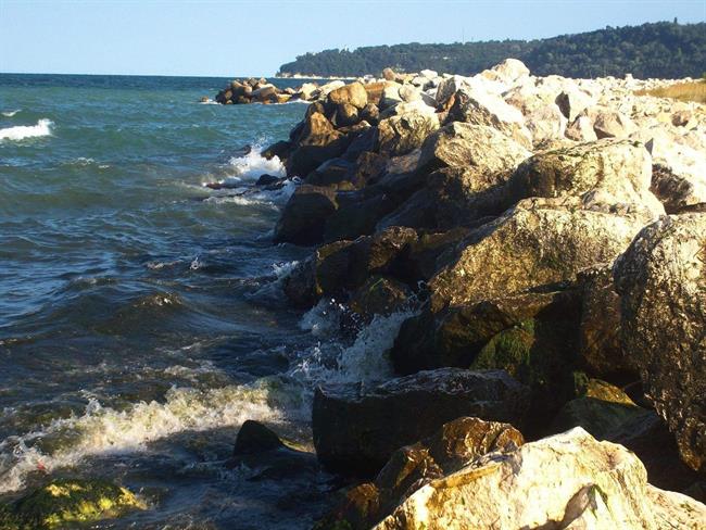 Lepa misel za lepši dan. (foto: freeimages.com)