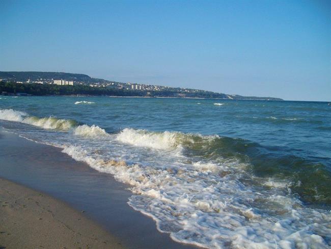 Lepa misel za lepši dan. (foto: freeimages.com)