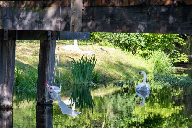 Vzorčenje na Ptuju (Foto: Katja Sreš)