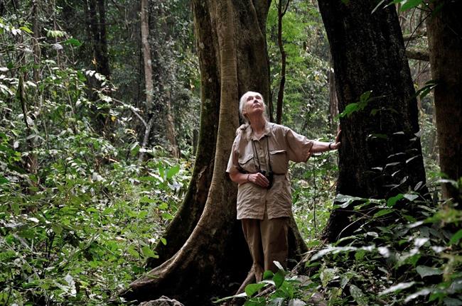 “Vsak posameznik šteje. Vsak posameznik ima svojo vlogo. Vsak posameznik prispeva k spremembam.” Dr. Jane Goodall
