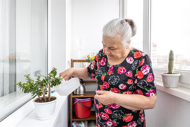 Mnogo starejših je osamljenih. (Foto: Freepik.com)