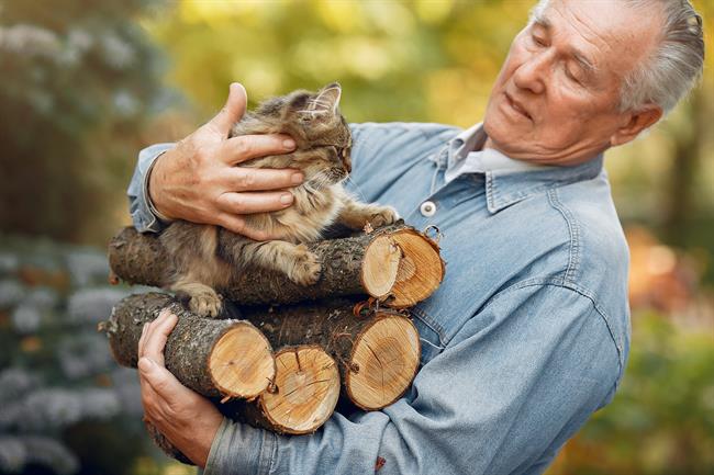 Najpogosteje so psi in mačke preobčutljivi na govedino ali kravje mleko. (Foto: Freepik.com)