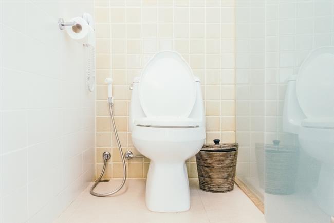  	Straniščna školjka škodi našemu črevesju. (foto: Freepik.com)