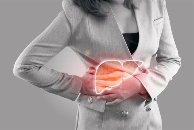 	Jetra imajo že skorajda čudežno zmožnost prilagoditve in regeneracije, zaradi česar so presaditve jeter med najuspešnejšimi presaditvami organov. (Foto: Freepik.com)