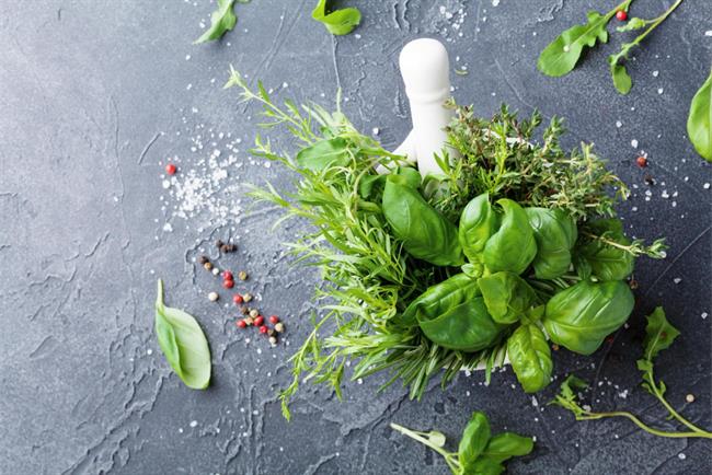 	Bazilika ne sme manjkati v vašem zeliščnem vrtu. (foto: Freepik.com)