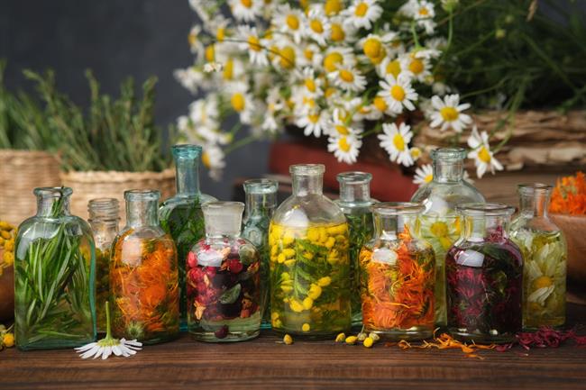 Zelišča nam lahko pomagajo do boljšega počutja (Foto: Freepik.com).