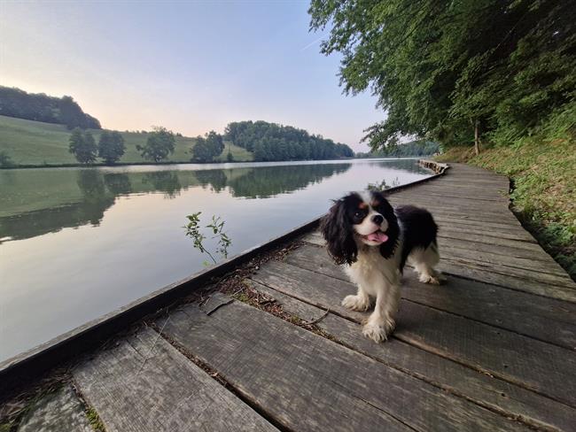  Premium Camping Lake Blaguš – kraj, kjer so dobrodošli vsi člani družine.