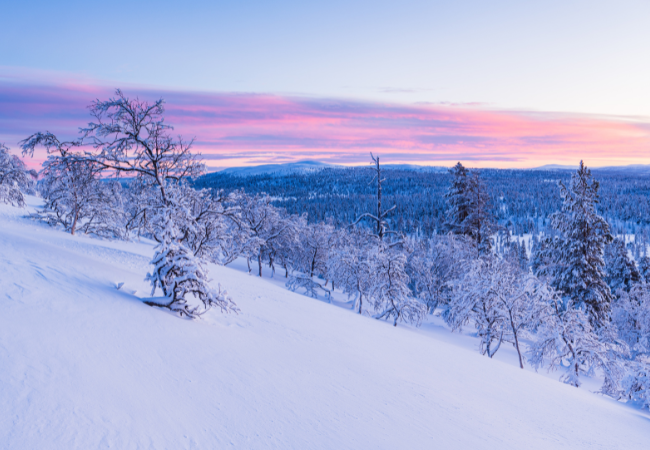 Preverite tedensko astrološko napoved za svoje znamenje! (Foto: Freepik)
