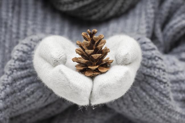 Preverite tedensko astrološko napoved za svoje znamenje! (Foto: Freepik)