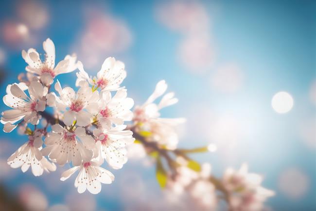 Preverite tedensko astrološko napoved za svoje znamenje! (Foto: Freepik)