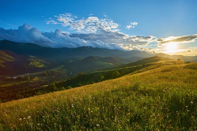 Preverite tedensko astrološko napoved za svoje znamenje! (Foto: Freepik)
