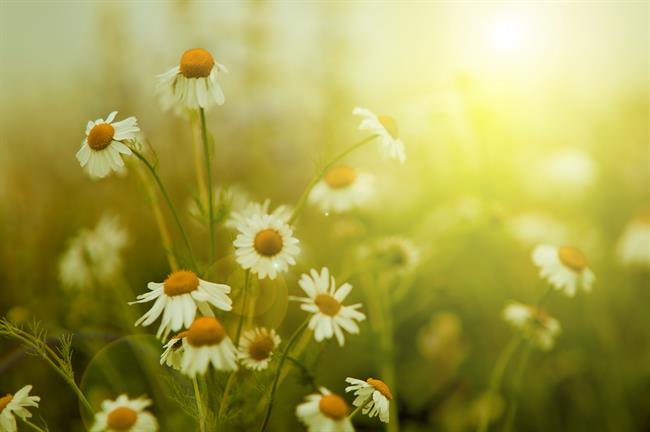 Preverite tedensko astrološko napoved za svoje znamenje! (Foto: Freepik)