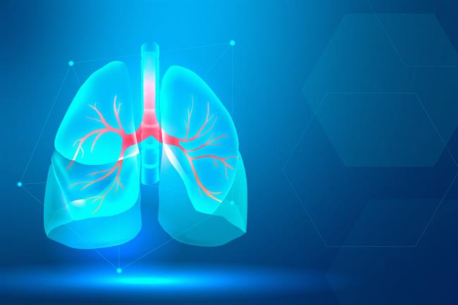 Origano krepi in zdravi pljuča. (foto: Thinkific)