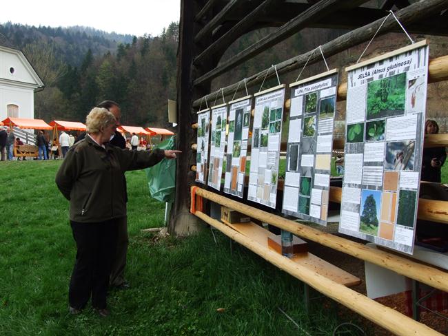 Razstava vrst lesa Srednje šole za lesarstvo (foto: Rokodelski center DUO)