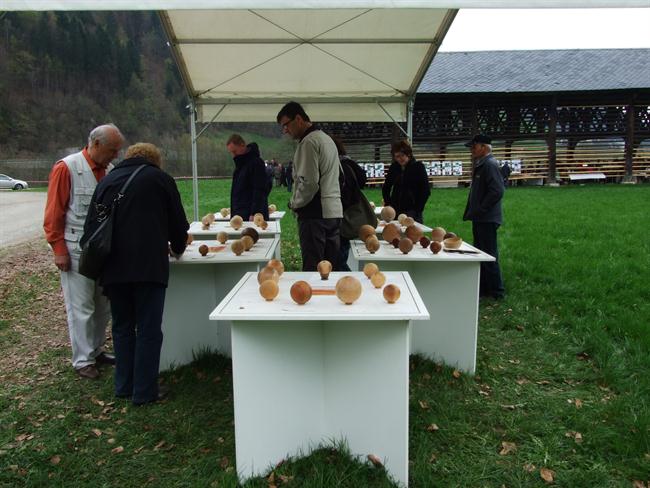 Razstava struženih krogel slovenskih drevesnih vrst. (foto: RC DUO)