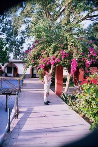 Hacienda/hotel, poln zelenja. (foto: O.P.)
