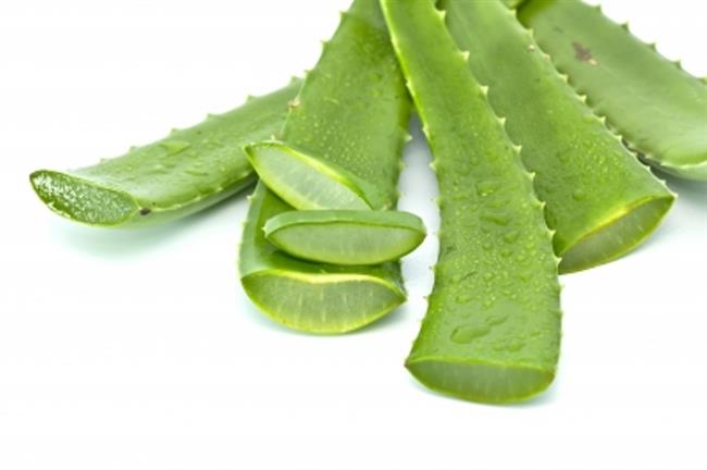Aloe vera je zelo zdravilna rastlina. (foto: FreeDigitalPhotos.net)