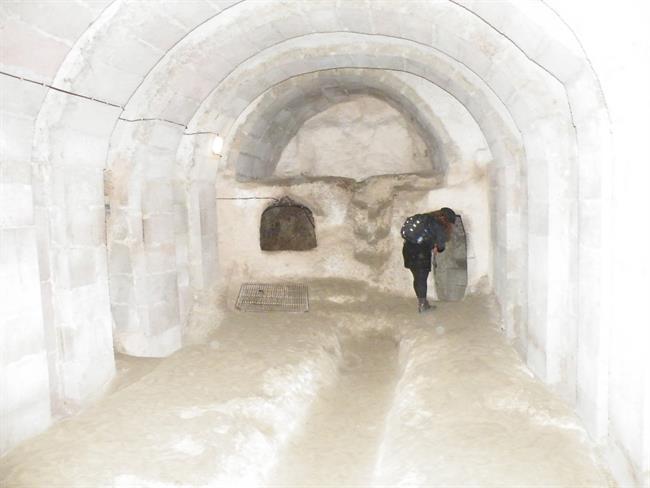 V ozadju porodnišnica z dvema vhodoma. (foto: A.P.)