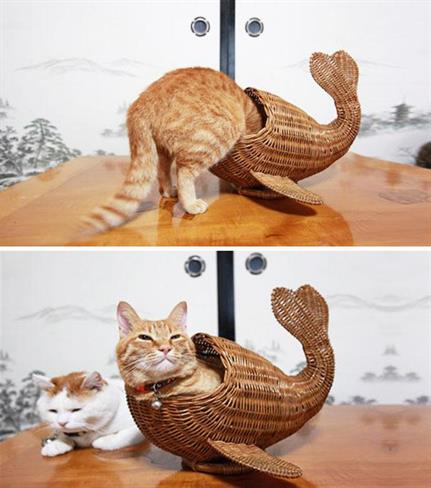 Foto: www.boredpanda.com