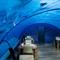 Foto: conradhotels3.hilton.com