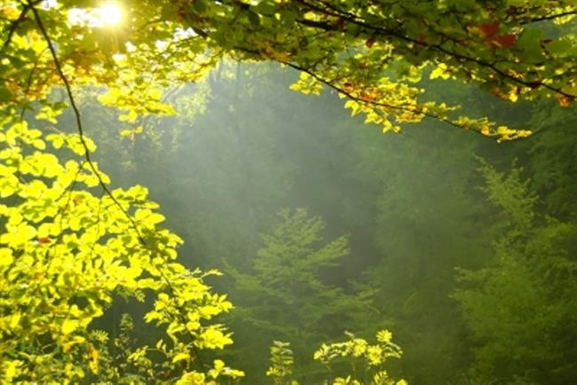 Četudi se je bala oditi, je upala, da bo nekoč zanjo lepše ... (foto: FreeDigitalPhotos.net)