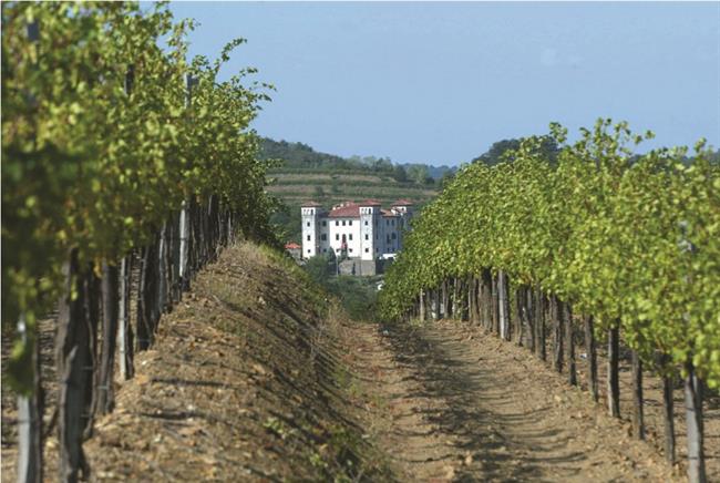 Grad Dobrovo (foto: STA)
