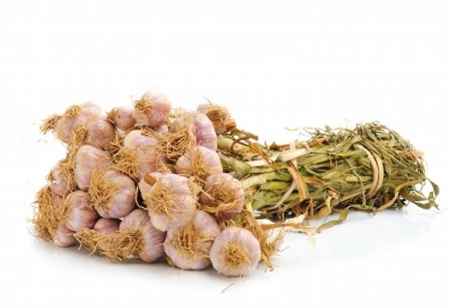 Česen in vino sta sestavini zdravilnega sirupa. (foto: FreeDigitalPhotos.net)