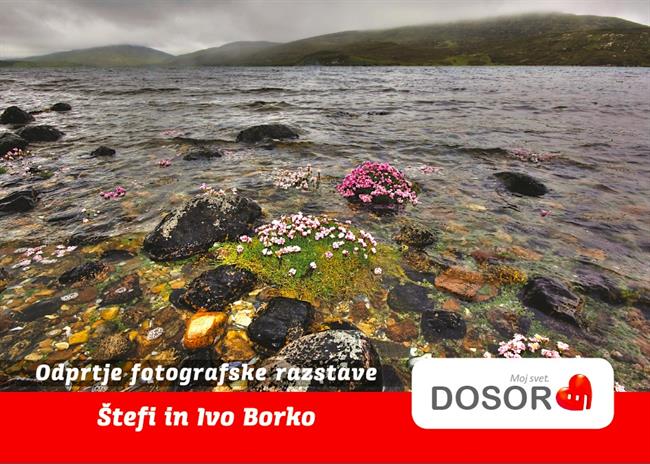 Razstava Ptice vedo. (foto: DOSOR)