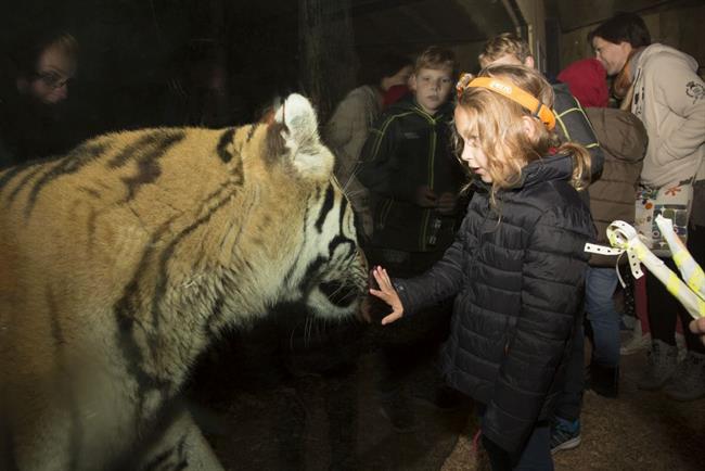 ZOO Ljubljana