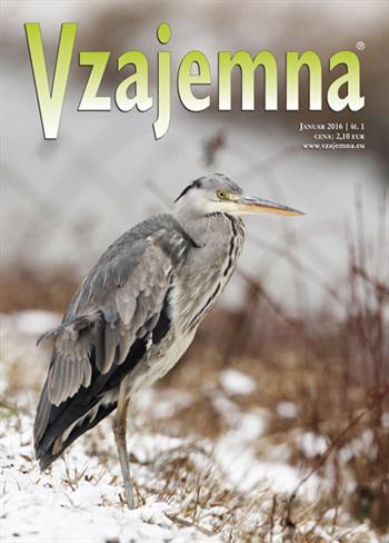 Januarska Vzajemna (foto: Vzajemna)