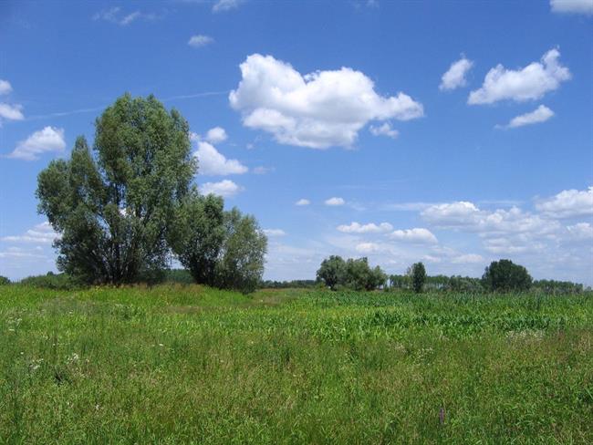 Lepa misel za lepši dan. (foto: freeimages.com)