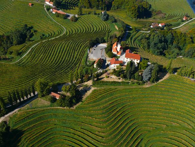 foto: P&F Wineries