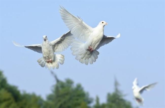 foto: www.123rf.com