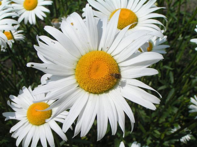 Kaj bo prinesel teden? (foto: freeimages.com)