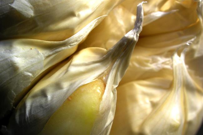 Česen in mleko sta odlično zdravilo. (foto: freeimages.com)