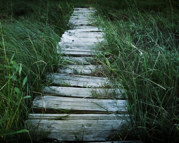 Lepa misel za lepši dan. (foto: freeimages.com)