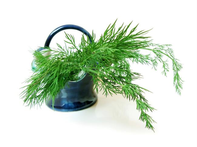 Narava ponuja zdravje. (foto: freeimages.com)