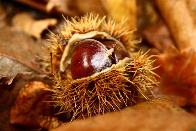 Kaj bo prinesel teden? (foto: freeimages.com)