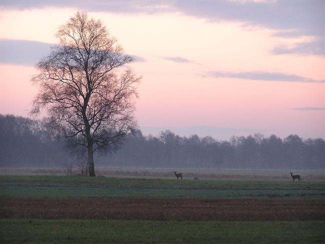 Lepa misel za lepši dan. (foto: freeimages.com)