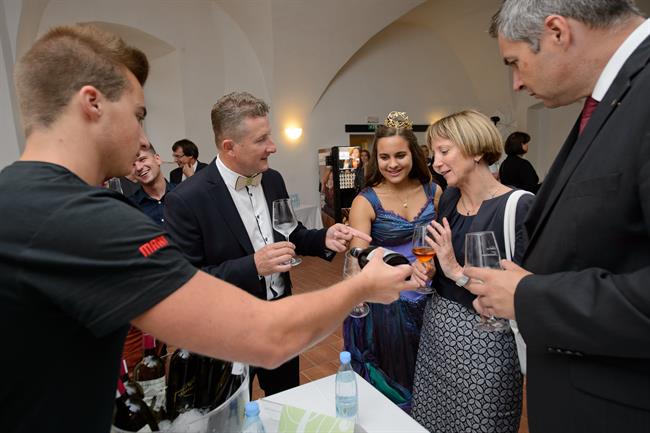 7. Salon Traminec