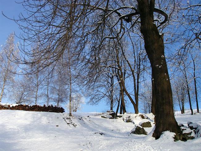 Lepa misel za lepši dan. (foto: freeimages.com)