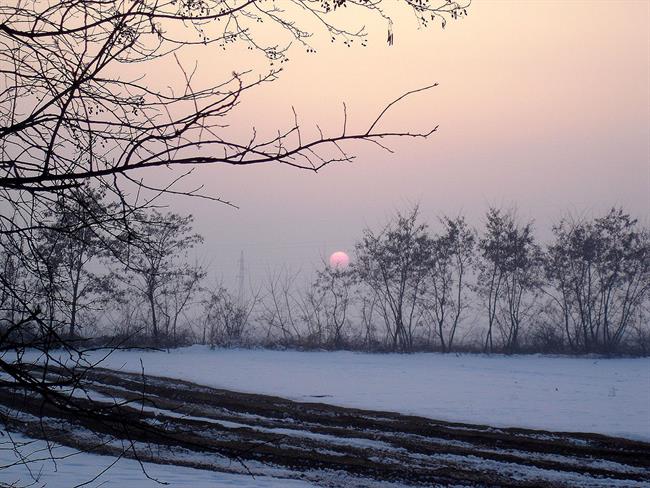 Lepa misel za lepši dan. (foto: freeimages.com)